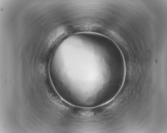 X0000060750258200511141206