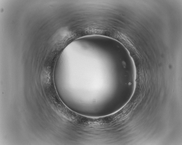 X0000060750259200511141206