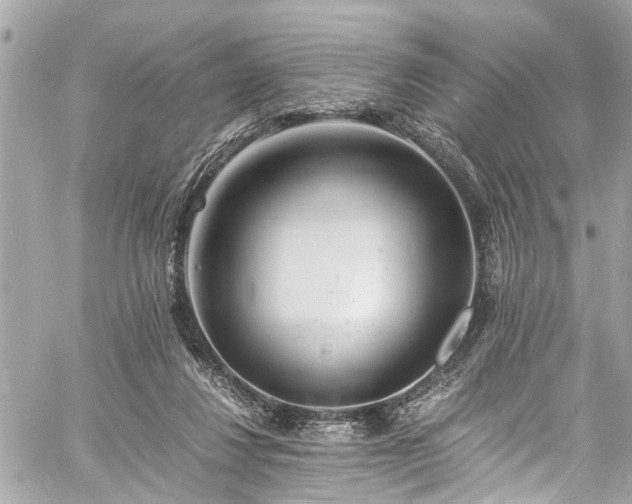 X0000060750260200511141206