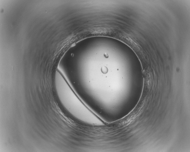 X0000060750261200511141206