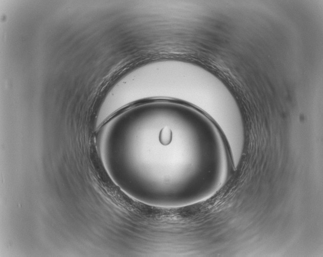 X0000060750262200511141206