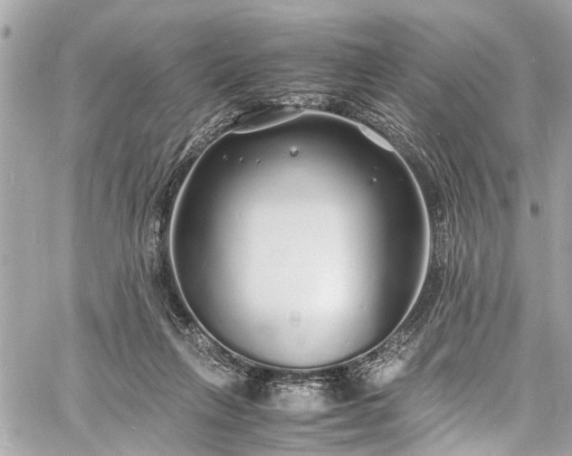 X0000060750263200511141206