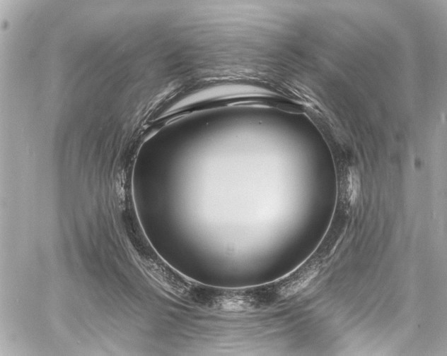 X0000060750264200511141206