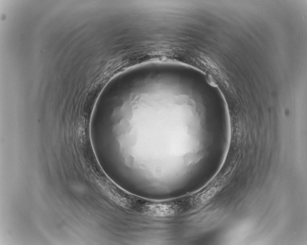 X0000060750265200511141206