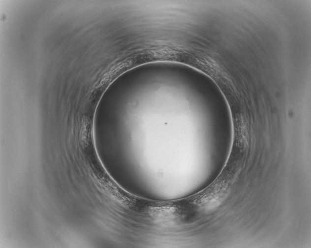 X0000060750266200511141206