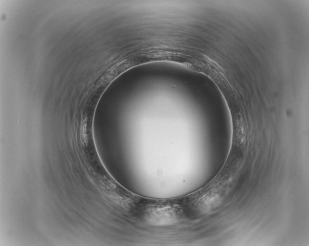 X0000060750267200511141206