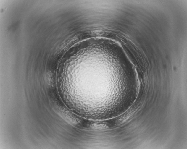 X0000060750270200511141207