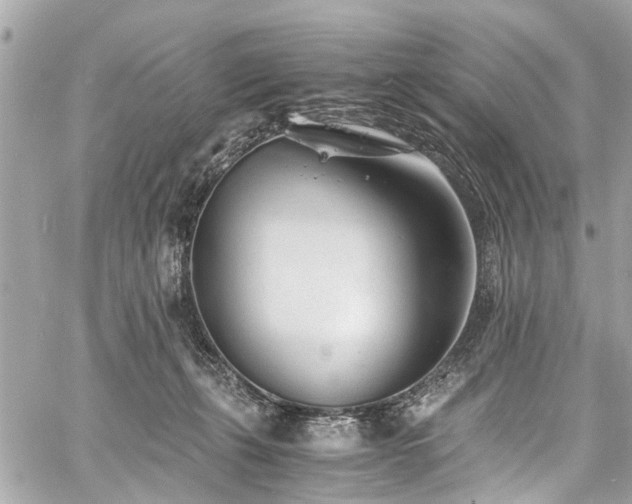 X0000060750271200511141207