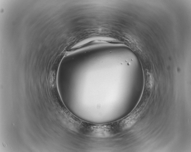 X0000060750273200511141207