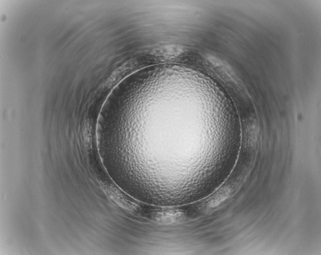 X0000060750274200511141207