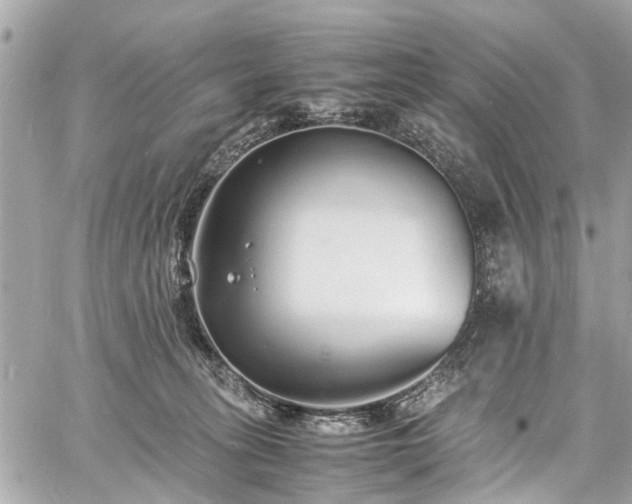 X0000060750275200511141207