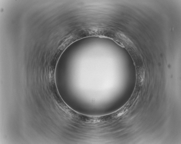 X0000060750276200511141207