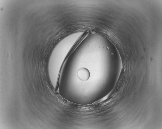 X0000060750277200511141207