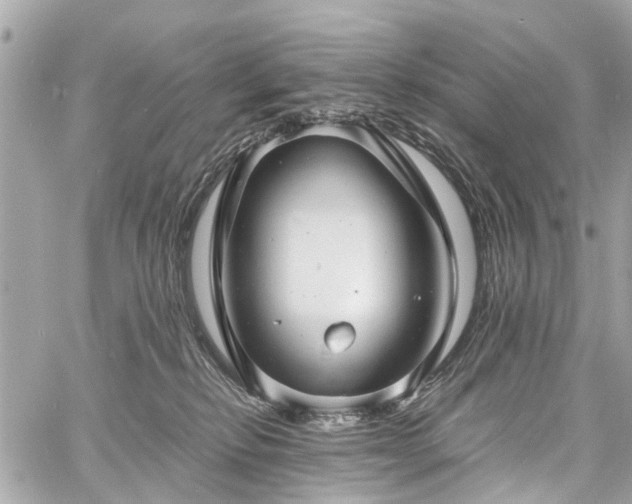 X0000060750278200511141207