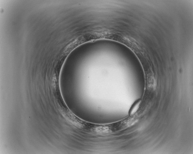 X0000060750279200511141207