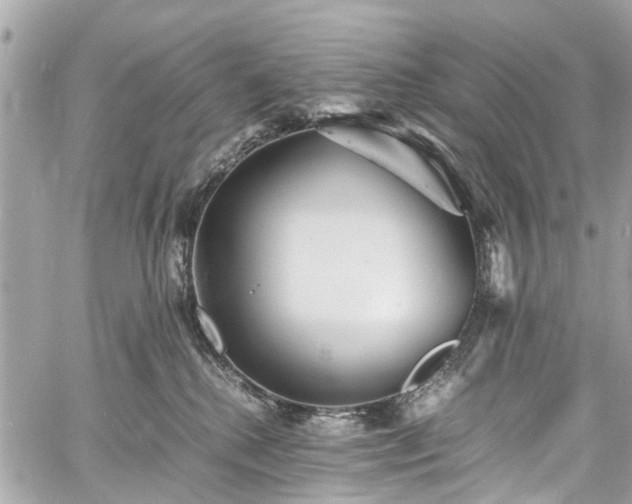 X0000060750280200511141207