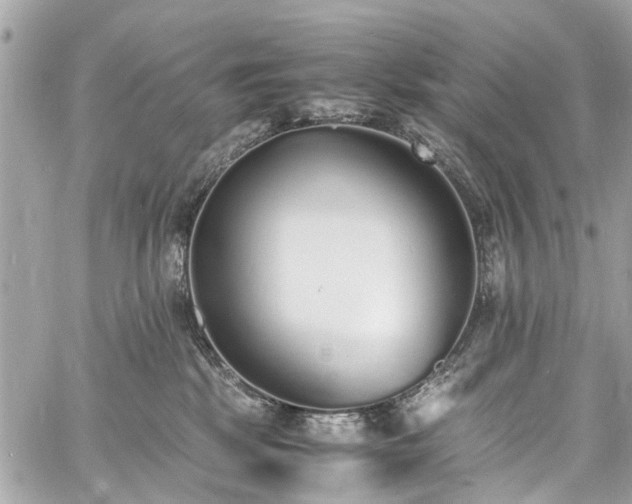 X0000060750281200511141207