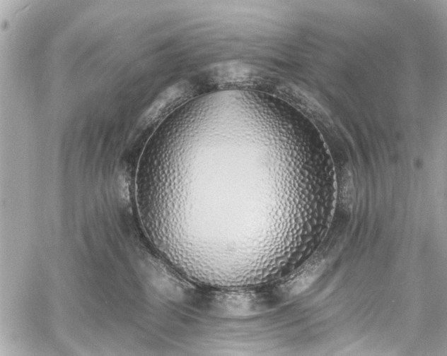 X0000060750282200511141207