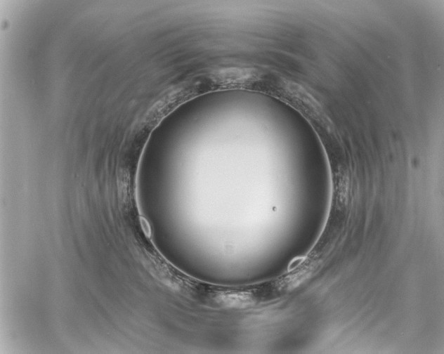 X0000060750283200511141207