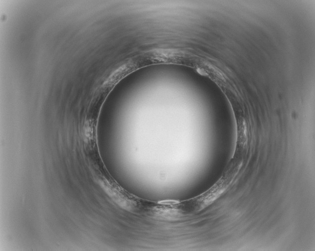 X0000060750284200511141207