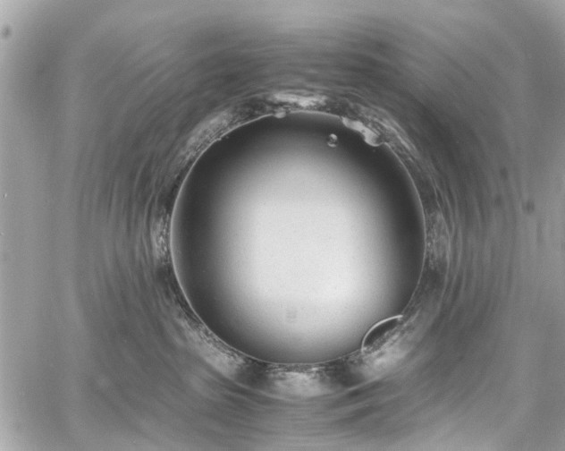 X0000060750285200511141207