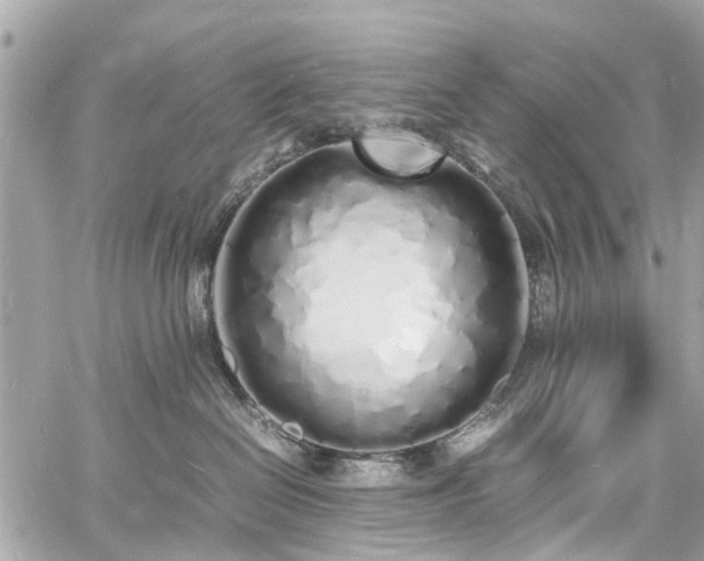 X0000060750286200511141207