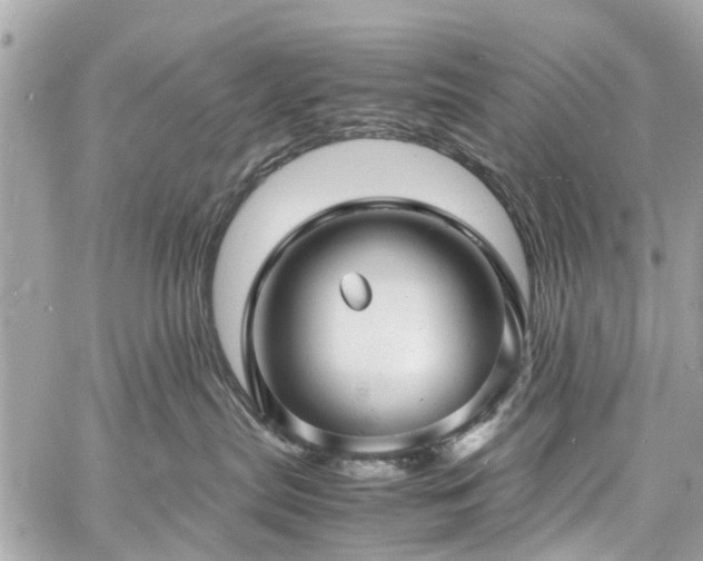 X0000060750287200511141207