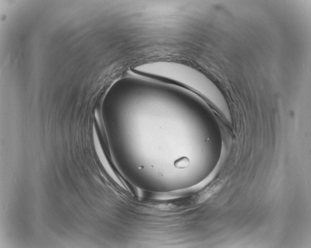 X0000060750288200511141207