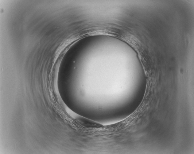 X0000060750289200511141206