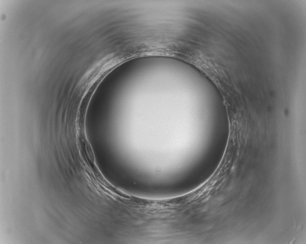 X0000060750290200511141206