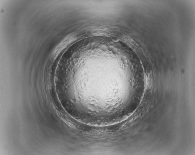 X0000060750291200511141206