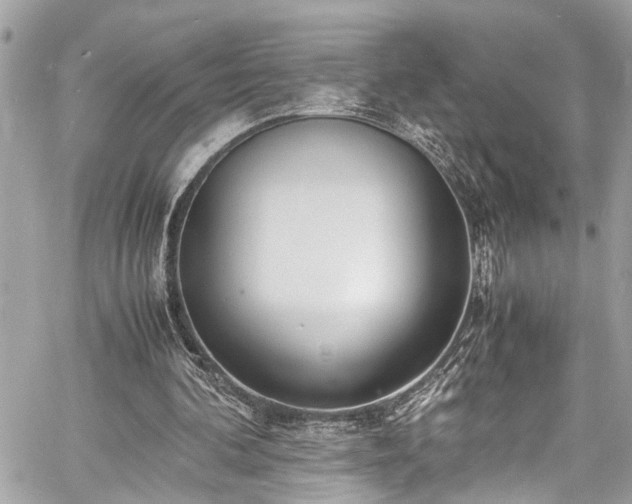 X0000060750292200511141206