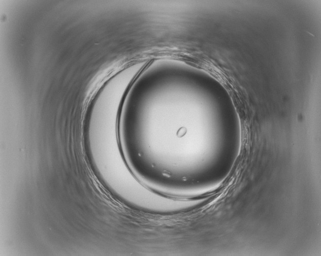 X0000060750293200511141206