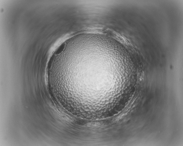 X0000060750294200511141206