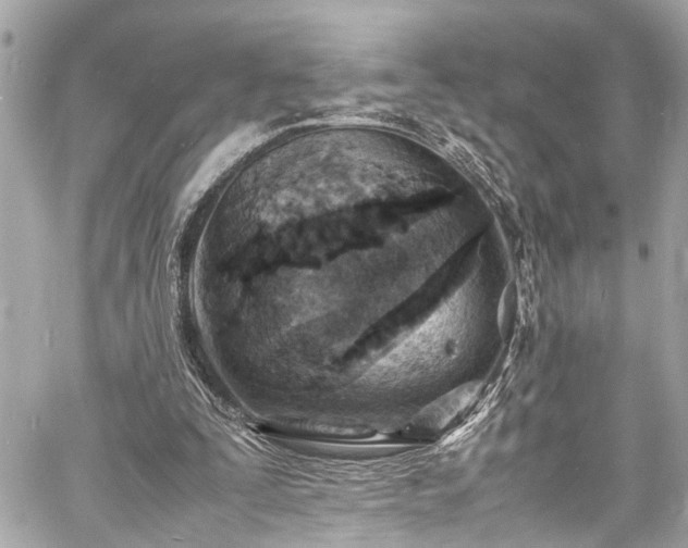 X0000060750295200511141206