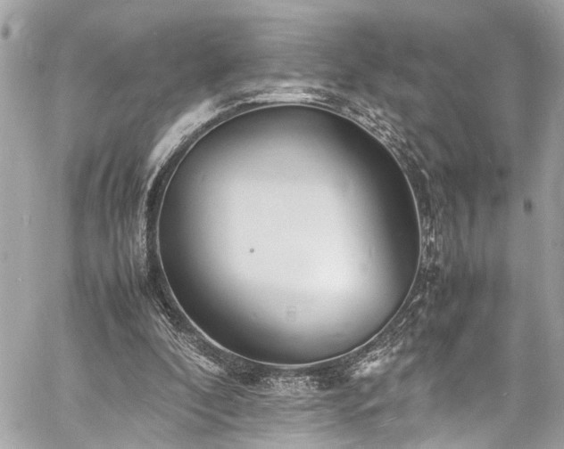 X0000060750296200511141206