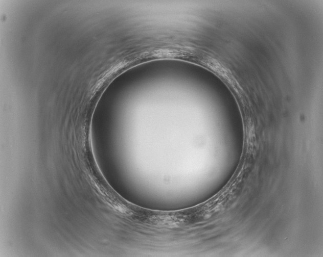 X0000060750297200511141206