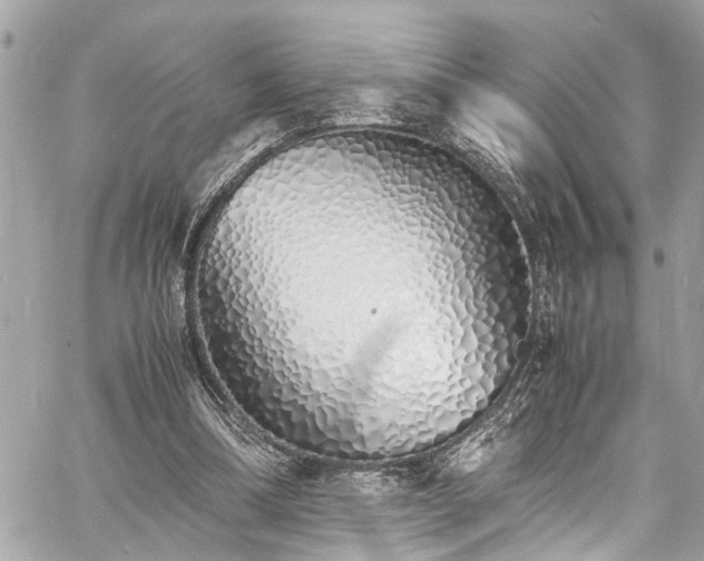 X0000060750298200511141206