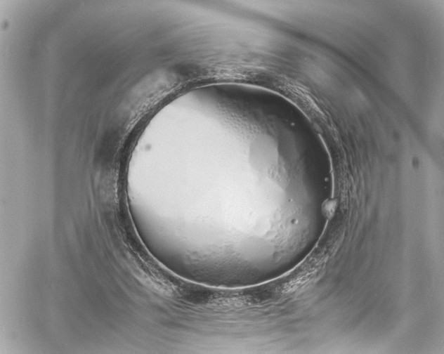 X0000060750299200511141206