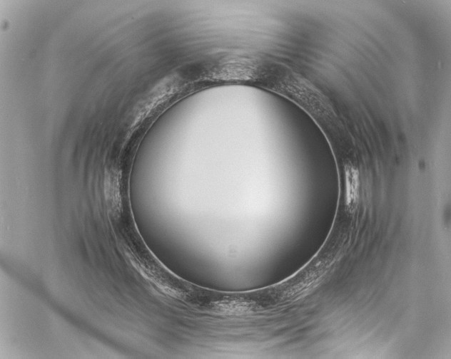 X0000060750300200511141206