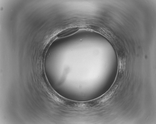 X0000060750301200511141206