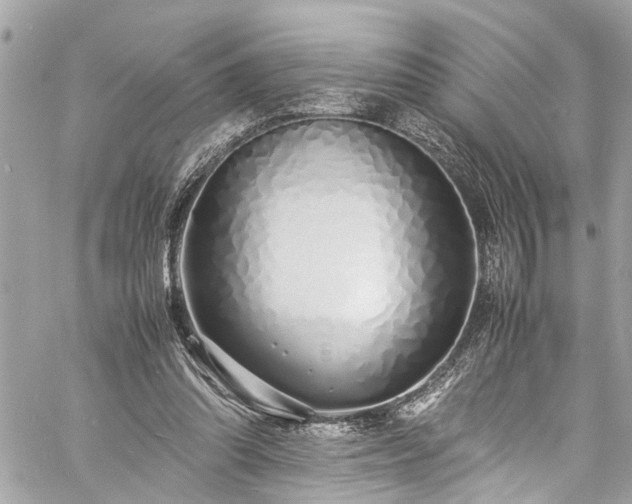 X0000060750302200511141206