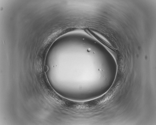 X0000060750303200511141206