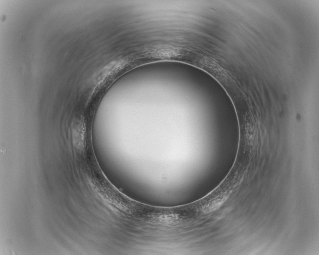 X0000060750304200511141206