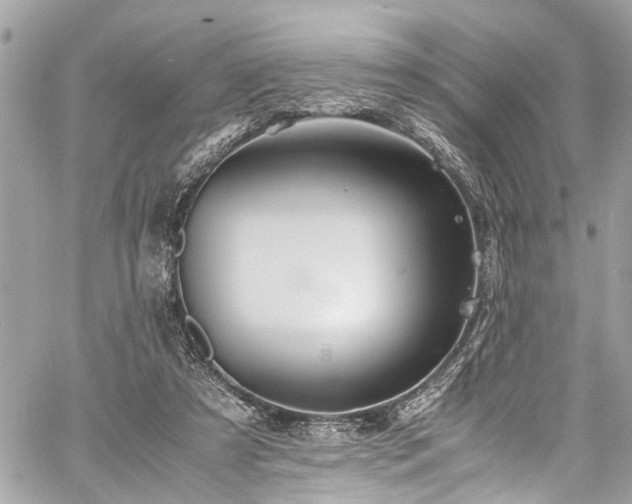 X0000060750305200511141206