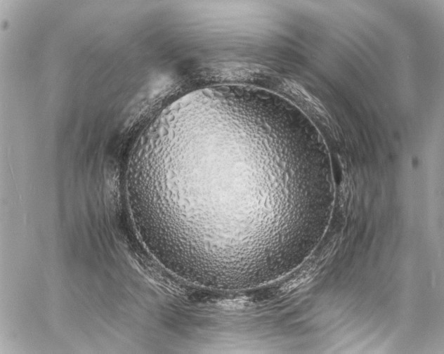 X0000060750306200511141206