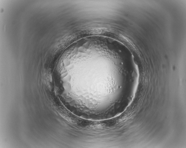 X0000060750307200511141206