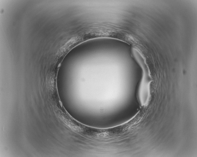 X0000060750309200511141206