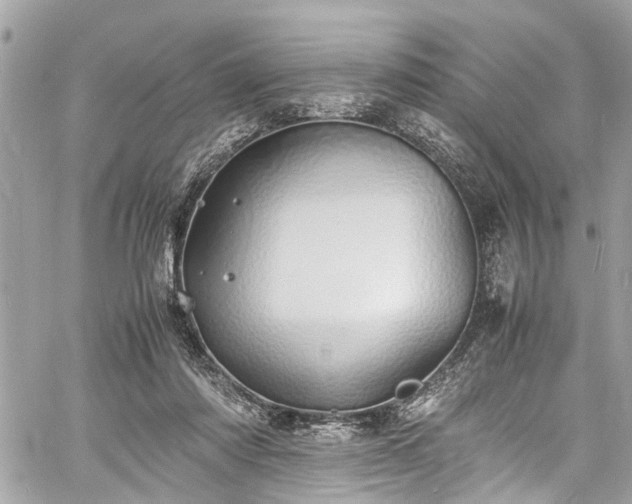 X0000060750310200511141206