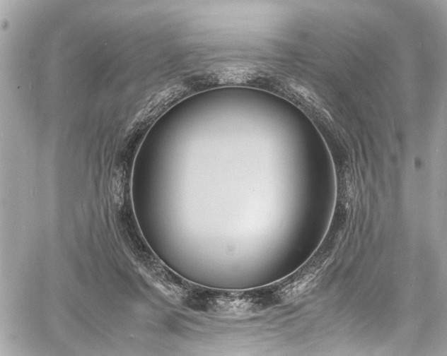 X0000060750311200511141206